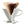 HARIO | HANDFILTER V60 Coffee Dripper