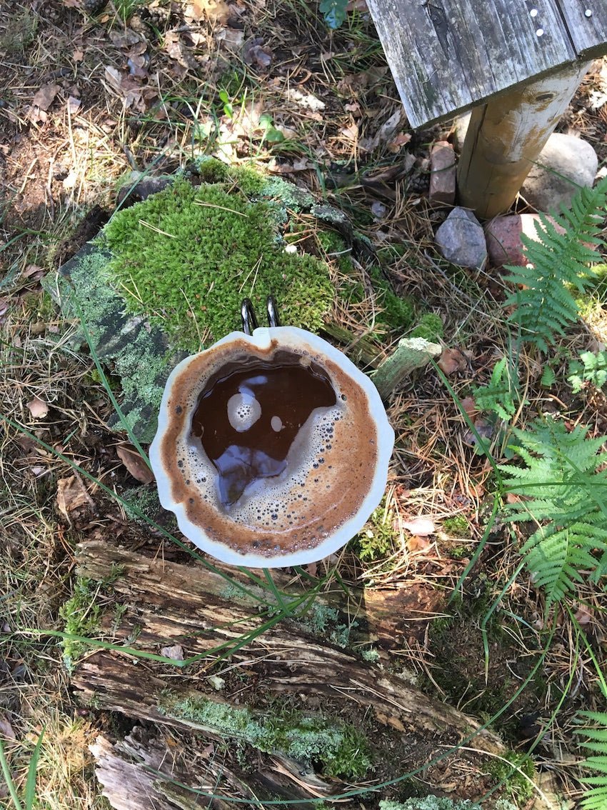 Hario V60 Kaffeefilter im Wald