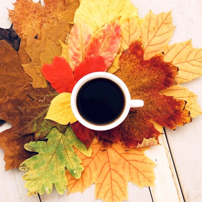 Herbstkaffee-Kollektion –  Cozy Vibes für die goldenen Tage