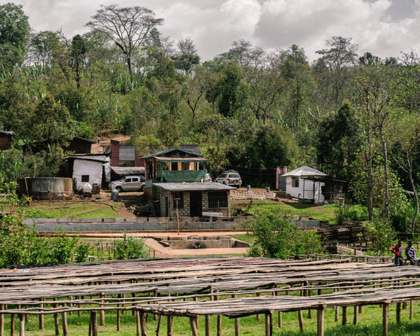 Ethiopia-Adado-houses