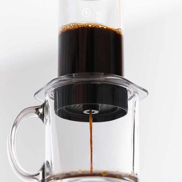 aeropress-flow-control-brewing