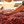 colombia-el-vergel-coffee-cherry-selection