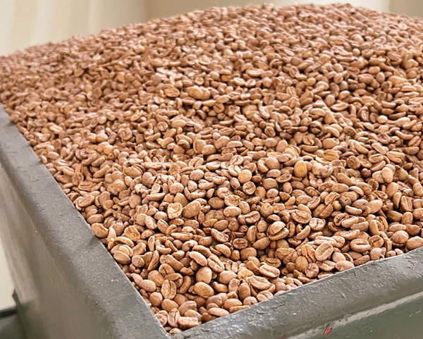 colombia-el-vergel-decaf-coffee-natural-process
