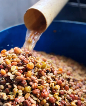 colombia-el-vergel-processing-coffee