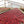 colombia-villamaria-drying-beds