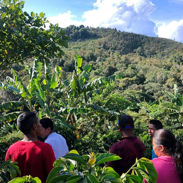 colombia-women-coffeeproducers