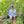 el-salvador-farm-chris-at-nursery