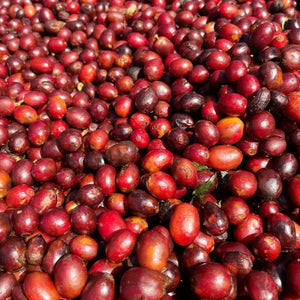 el-salvador-natural-process