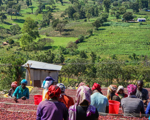 ethiopia-kayon-mountain-land