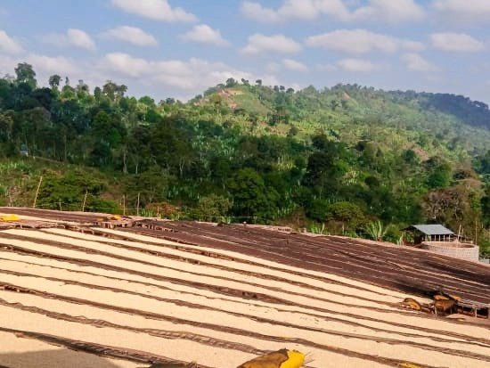 ETHIOPIA | HALO BERITI 