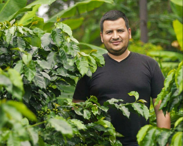 finca-villa-yolanda-Herly-urquila