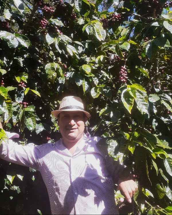 fredy-recinos