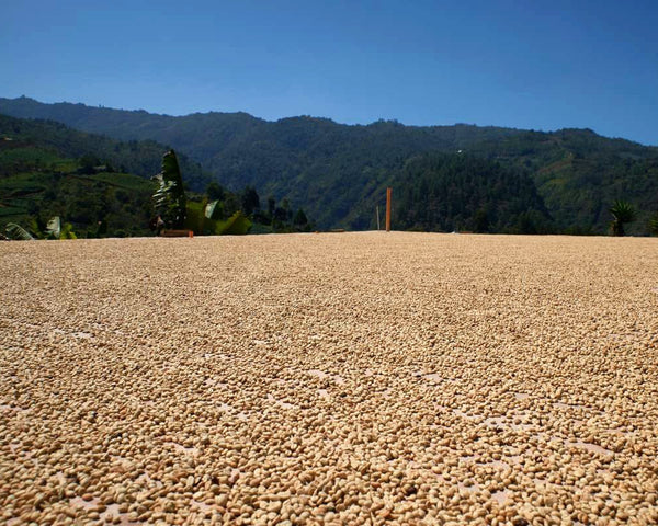 guatemala-huehuetenango-patio