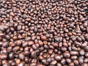 guatemala-santa-rosa-natural