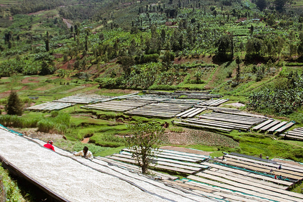 rwanda-kayumbu-raised-beds