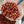 santa-marta-coffee-cherries
