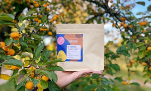 specialty-decaf-coffee-el-vergel