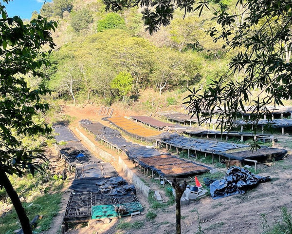 trip-el-salvador-tres-pozos